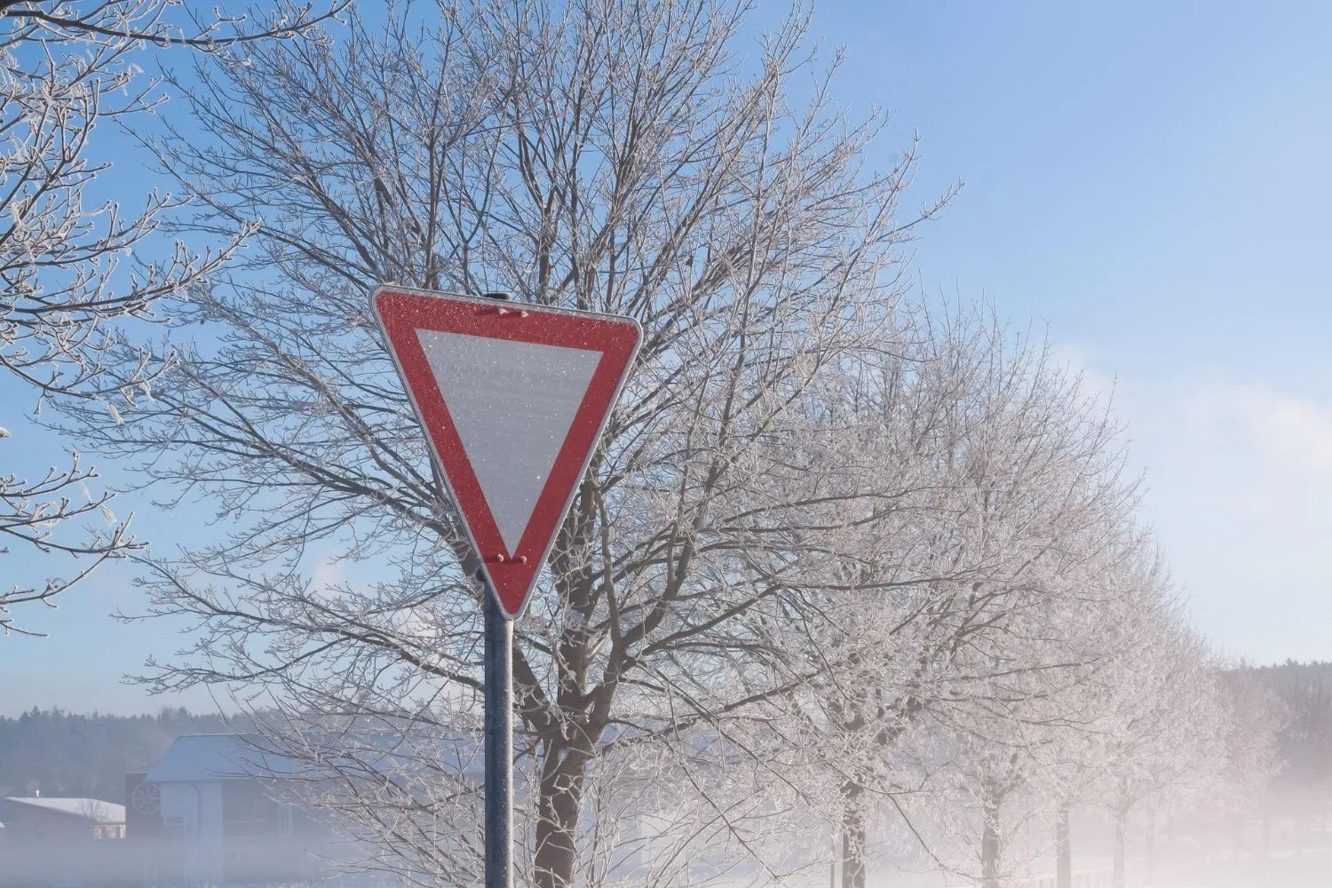 Vorfahrt-gewähren-Schild im Winter vor reifbedeckten Bäumen: Vorfahrtsunfall, wer zahlt
